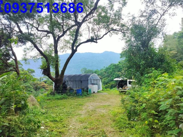 宜蘭農地-10