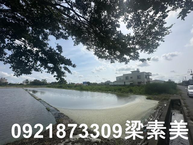 台南新化農地-11
