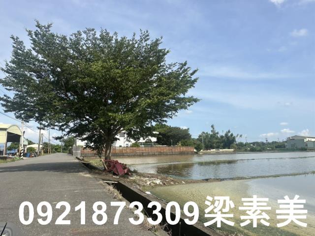 台南新化農地-1