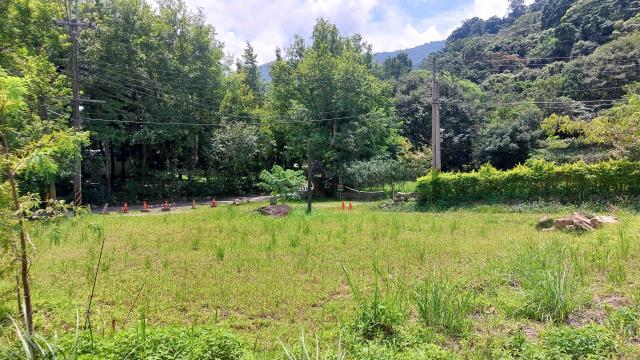 橫山農地-12