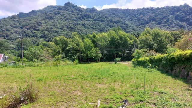 橫山農地-5