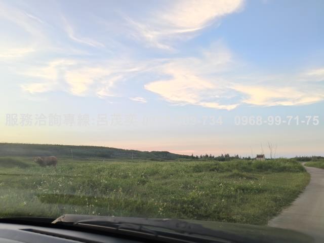 澎湖白沙農地-0