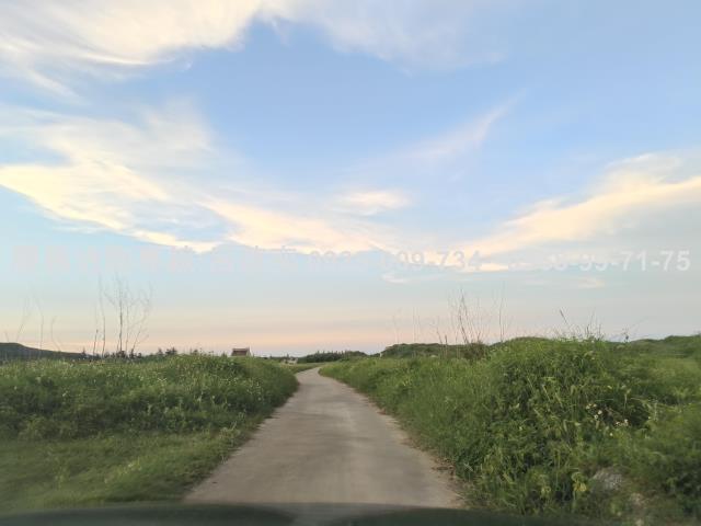 澎湖白沙農地-11