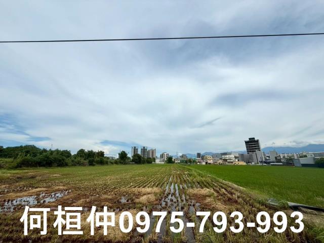苗栗竹南農地-2