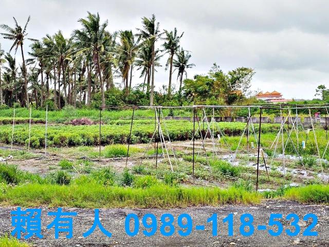 台南安南農地-12