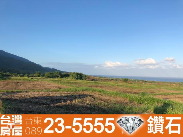 長濱農地-11