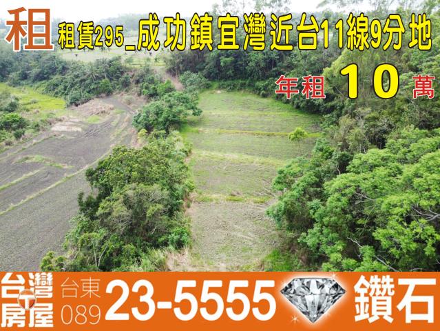 台東成功農地-0