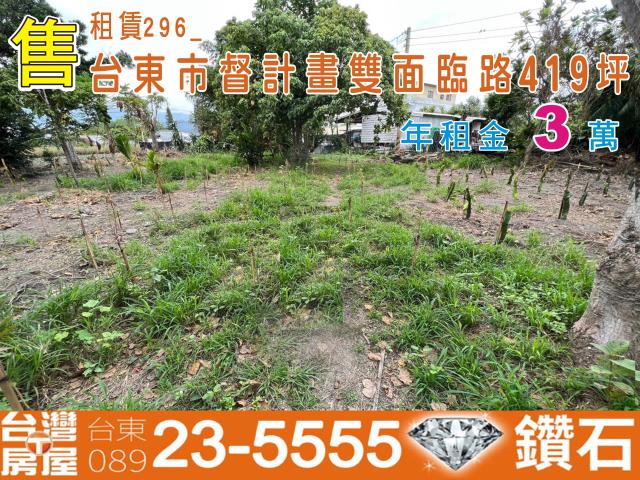 台東台東市農地-0
