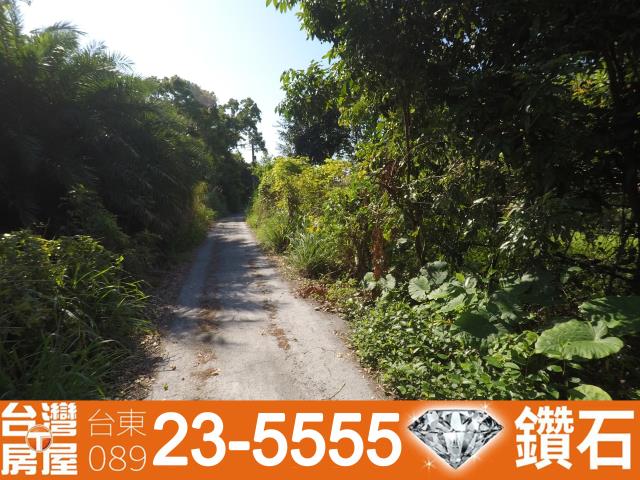 台東台東市農地-4