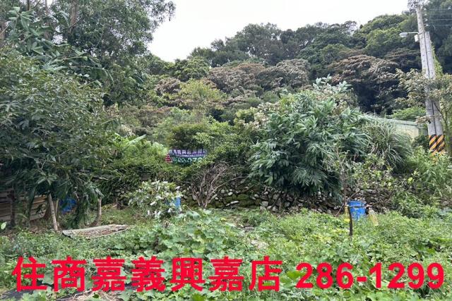 新竹芎林農地-3