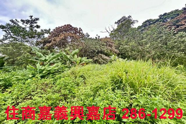 新竹芎林農地-4