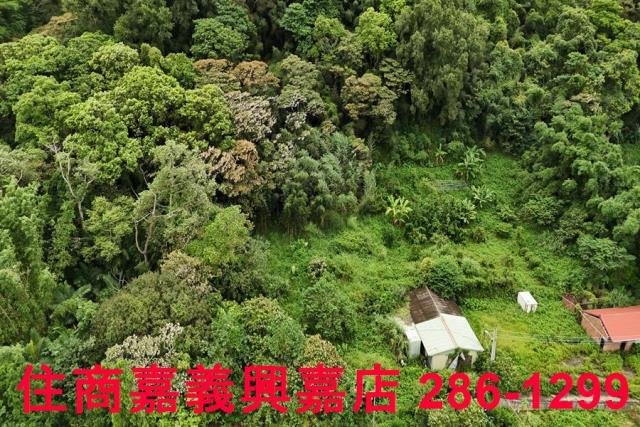 新竹芎林農地-7