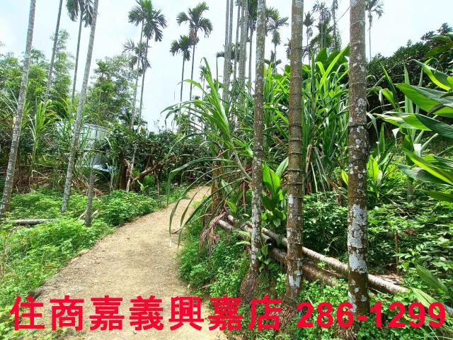 嘉義竹崎農地-9