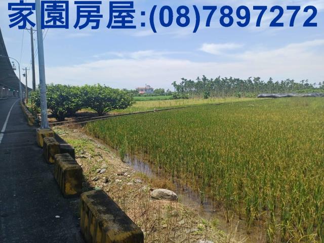 南州農地-0