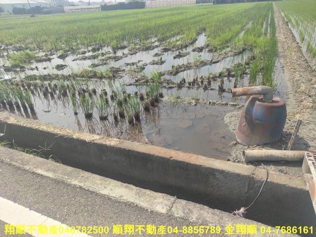 埔鹽農地-13