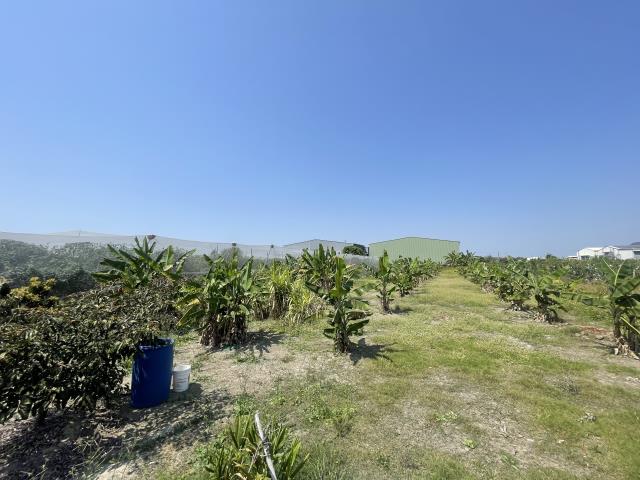 岡山農地-4