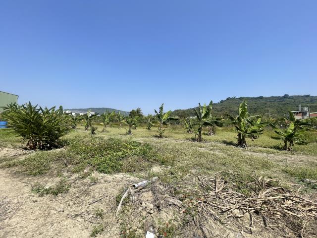 岡山農地-5