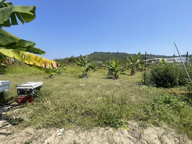 岡山農地-6