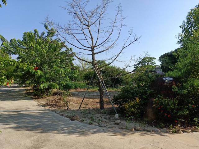 田寮農地-1