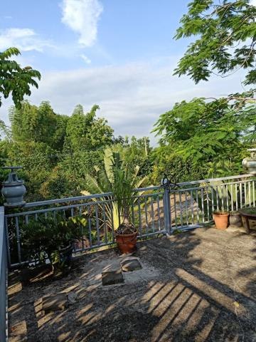 田寮農地-4