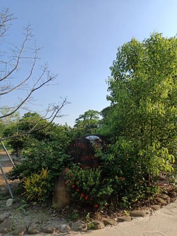 田寮農地-5