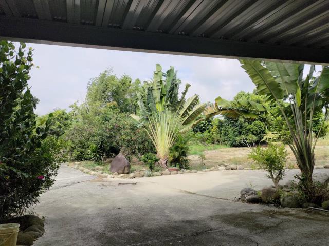 田寮農地-6