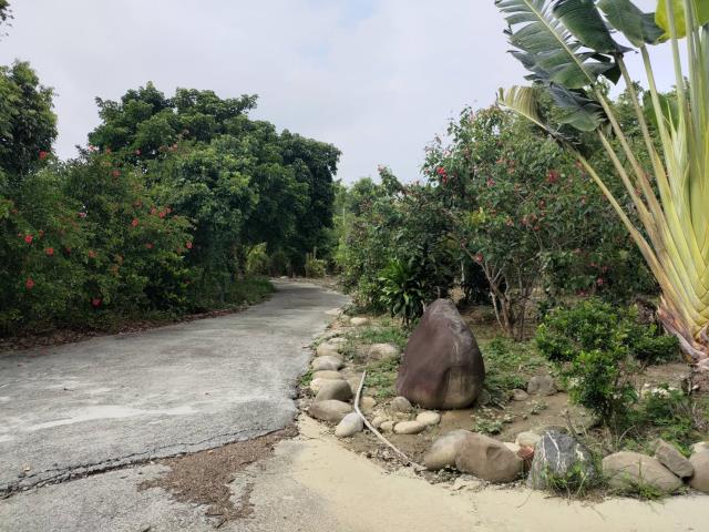 田寮農地-7