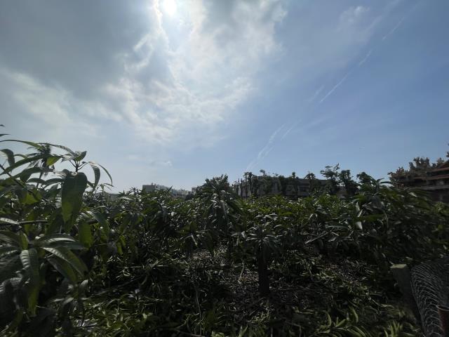 岡山農地-9
