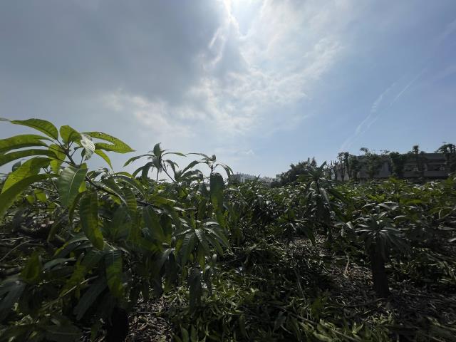岡山農地-8