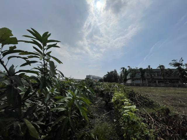 岡山農地-5