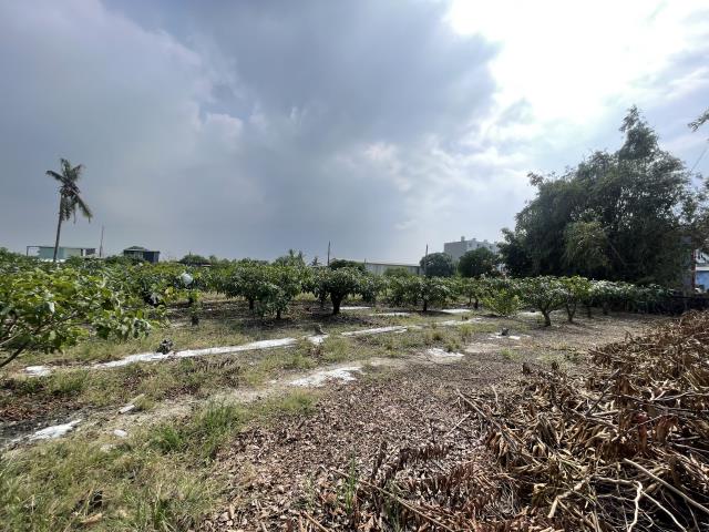 岡山農地-6