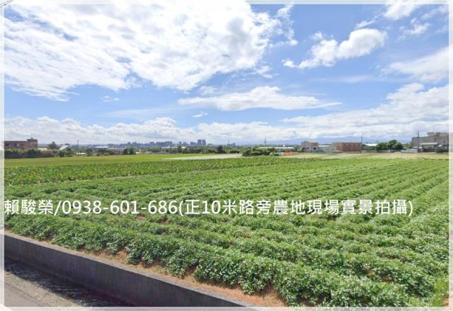 中壢山東國小農地青埔