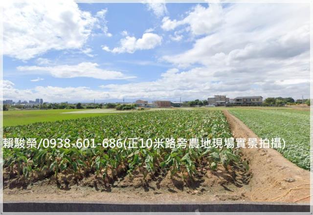 中壢山東國小農地青埔