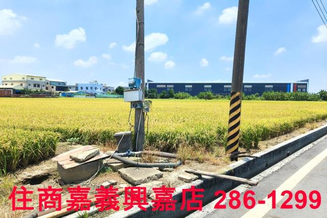 嘉義新港農地-1