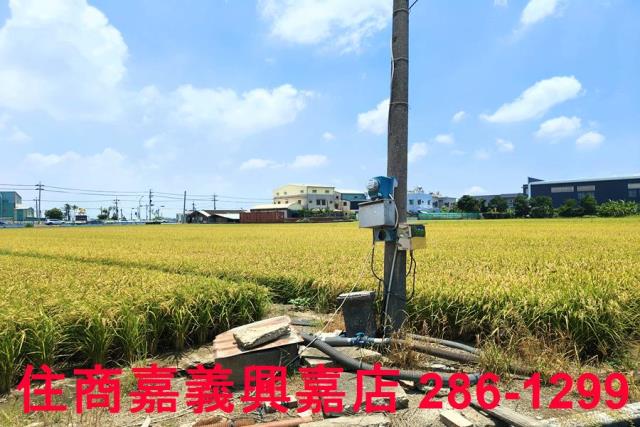嘉義新港農地-2