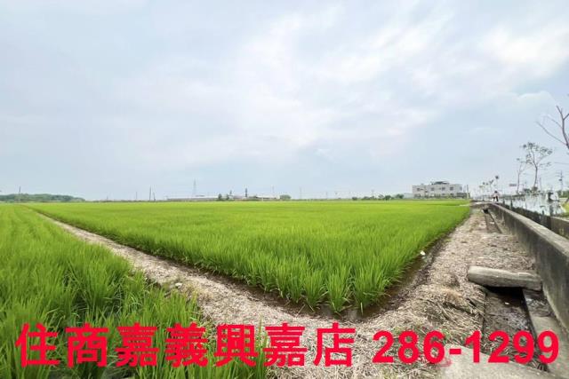 嘉義新港農地-7