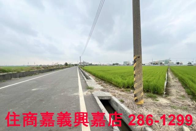 嘉義新港農地-8