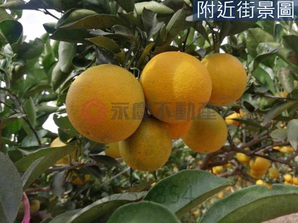 新竹新埔農地-8