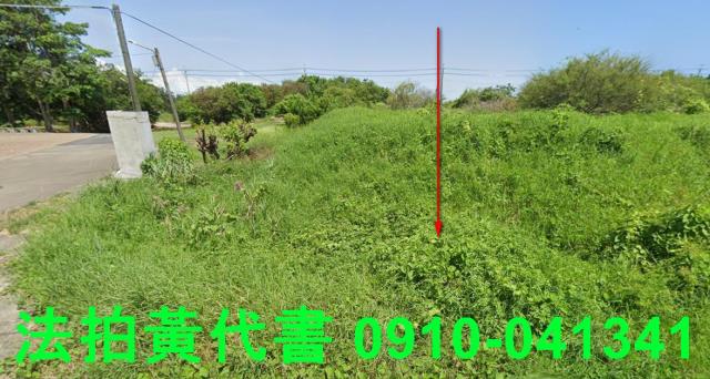 台南安南法拍農地-3