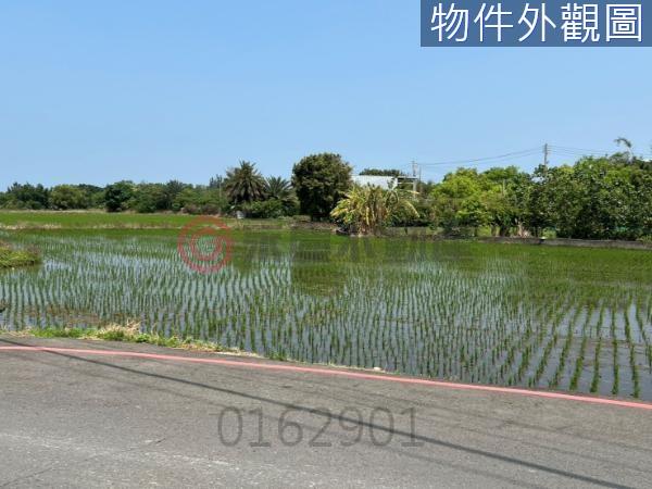 新竹北區農地-7