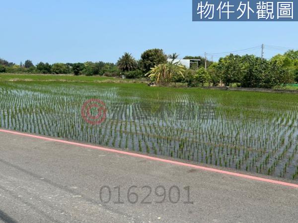 新竹北區農地-8