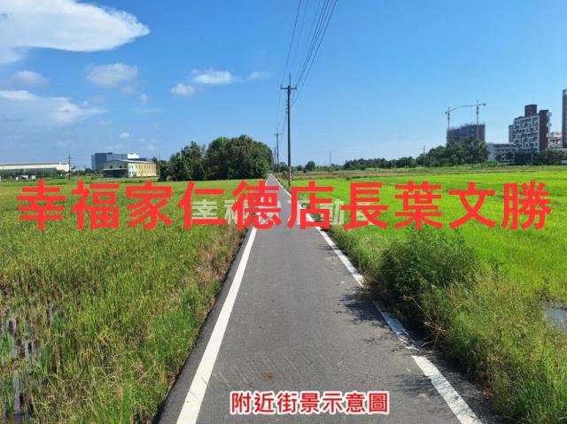 台南善化農地-9