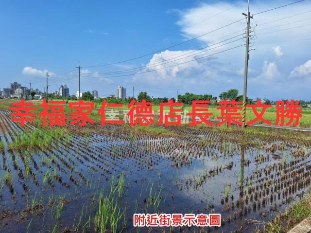 台南善化農地-1