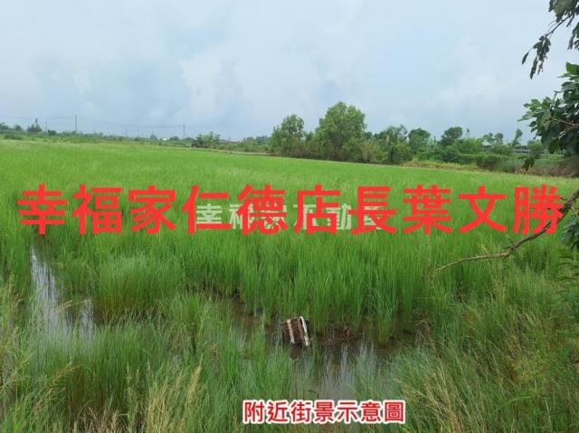 台南新營農地-14