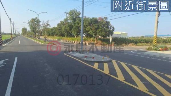 台南新化農地-6