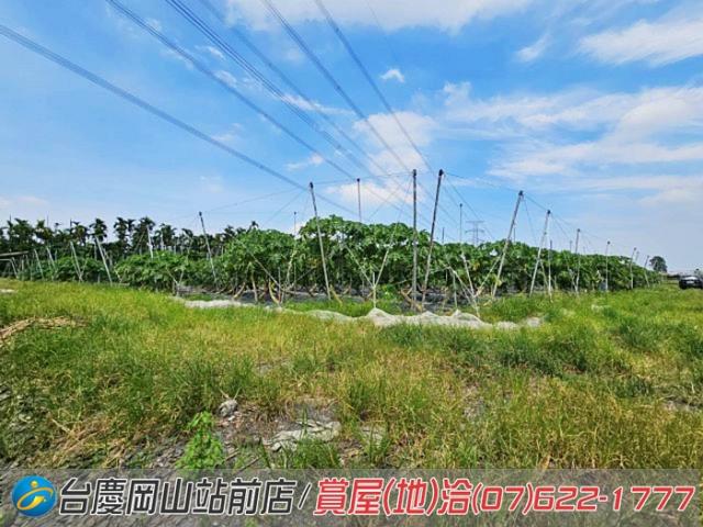 屏東新埤農地-12