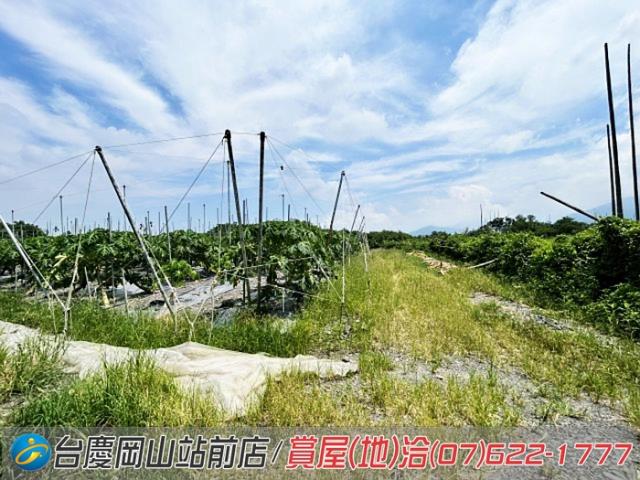屏東新埤農地-1