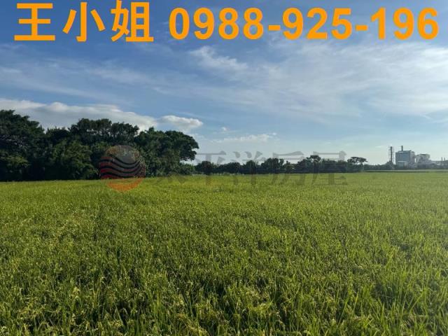 桃園新屋農地-9