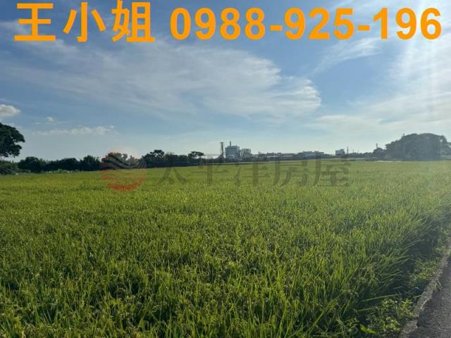 桃園新屋農地-10