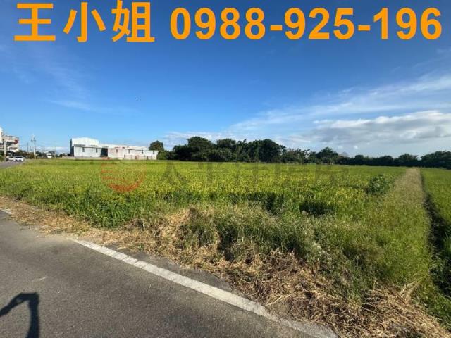 桃園新屋農地-12